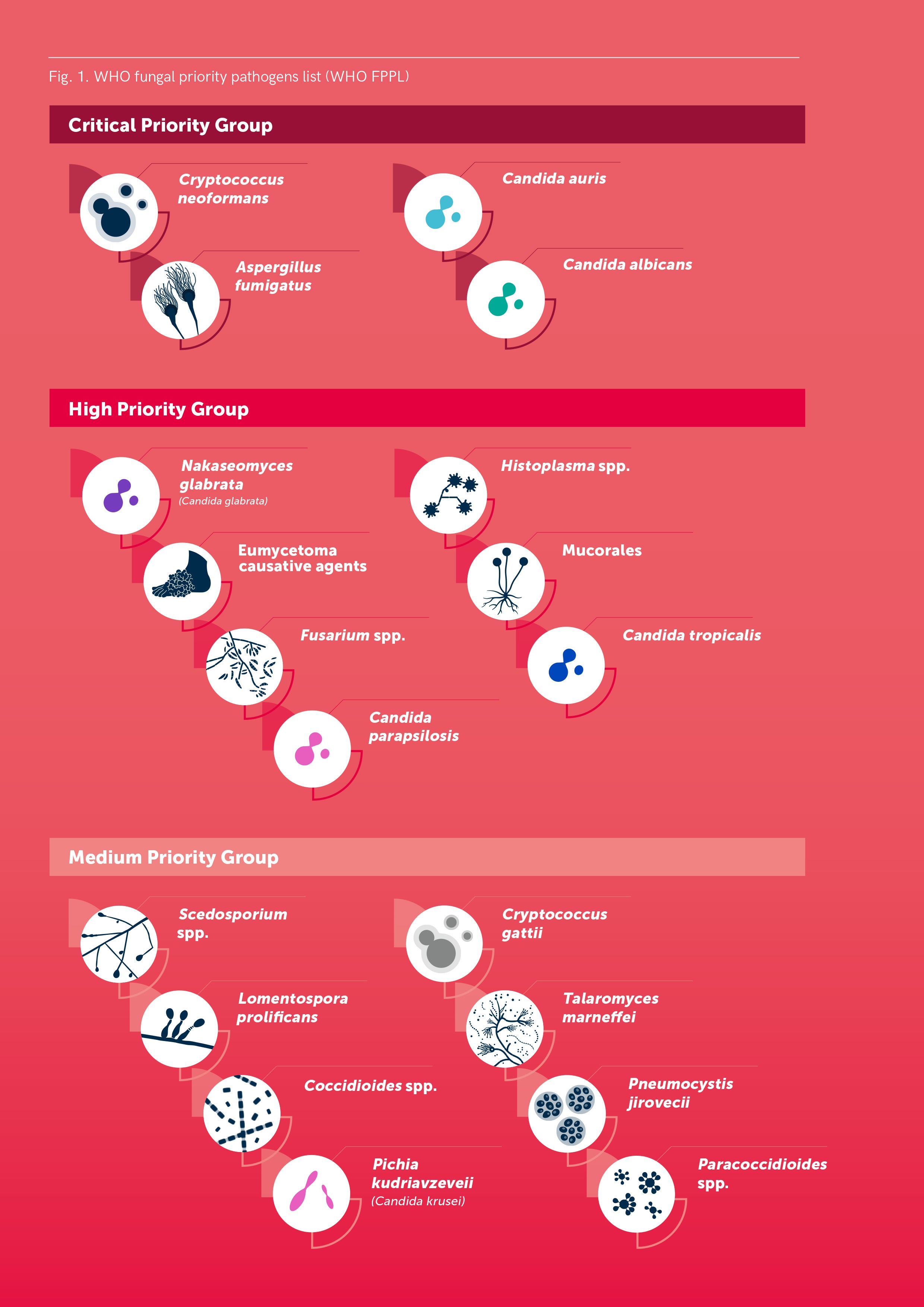 who-publishes-first-ever-list-of-fungal-infections